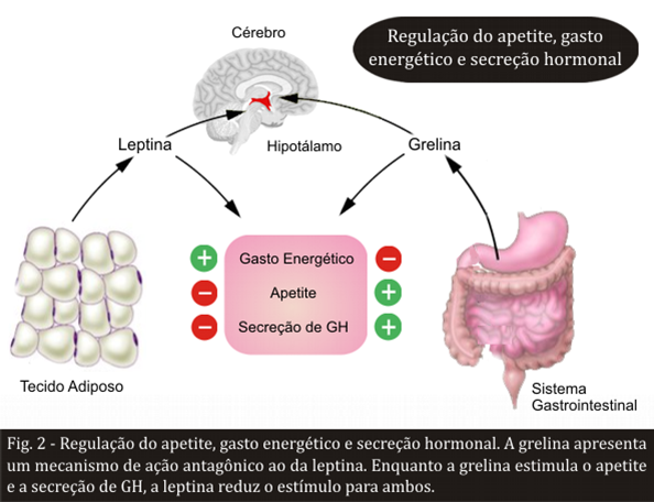 Mistura de passa de perda de peso